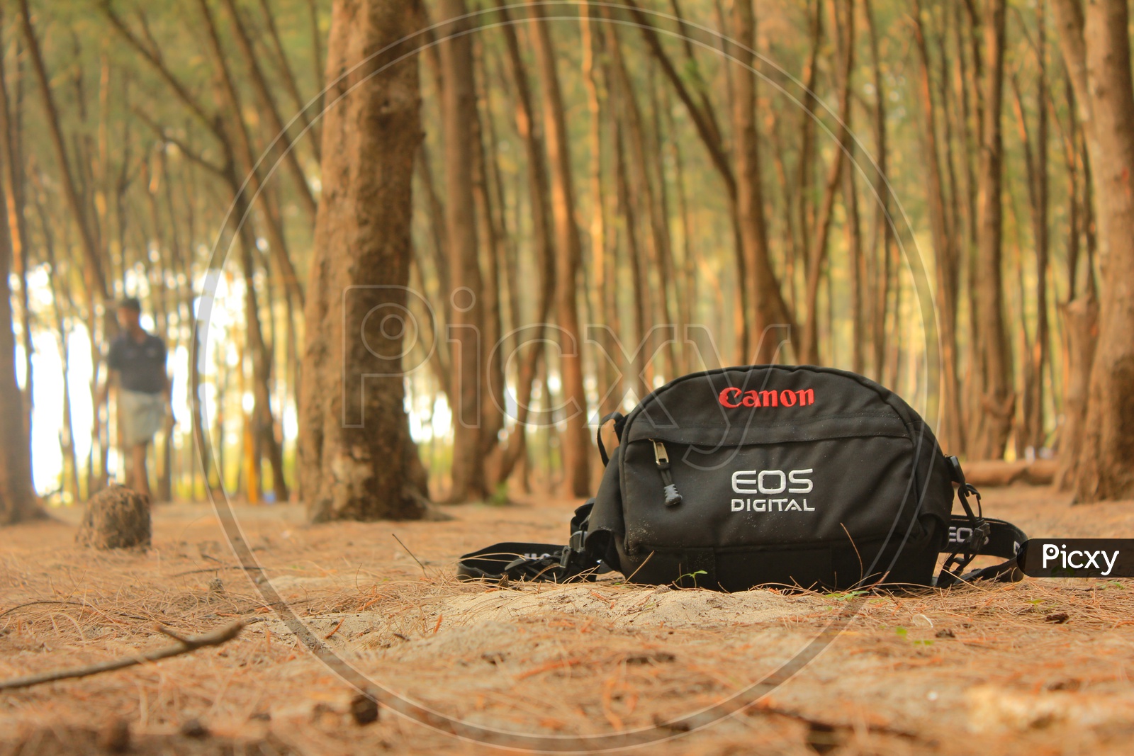 Canon EOS bag placed on ground with trees in the background