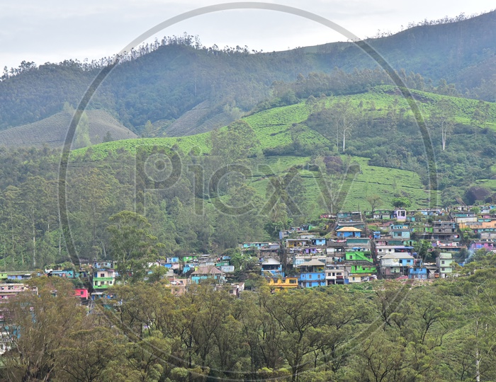 Houses in Munnar Surrounded by Mountains