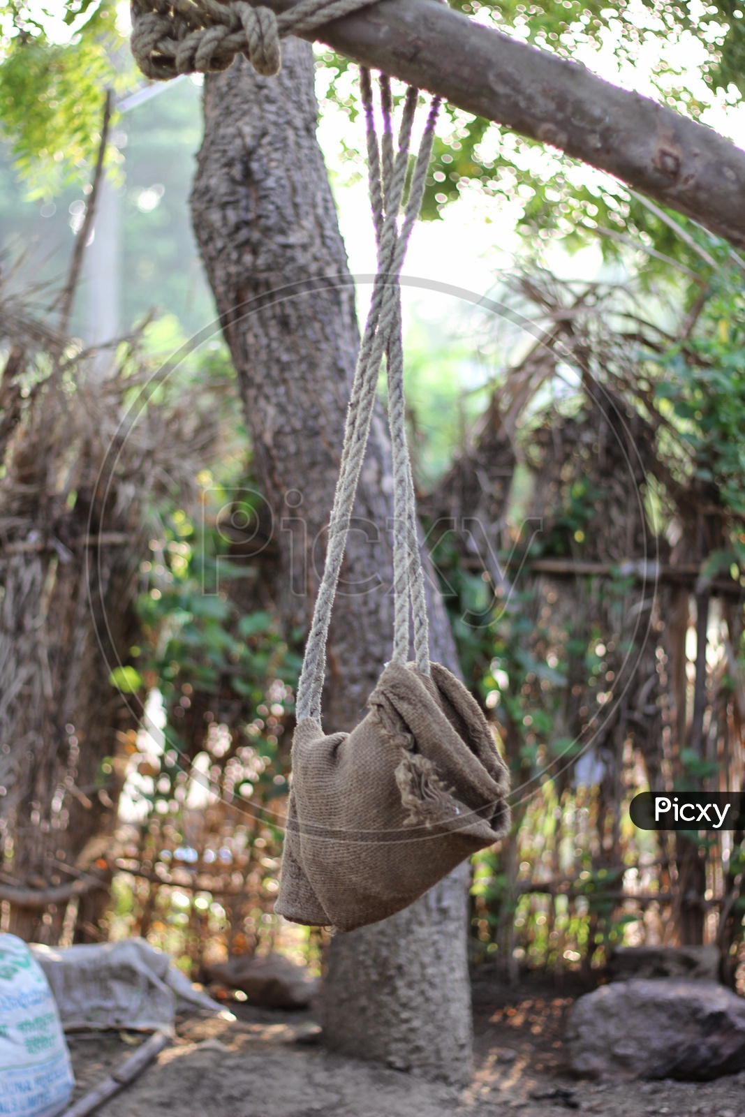 Rope Swing - Village Views