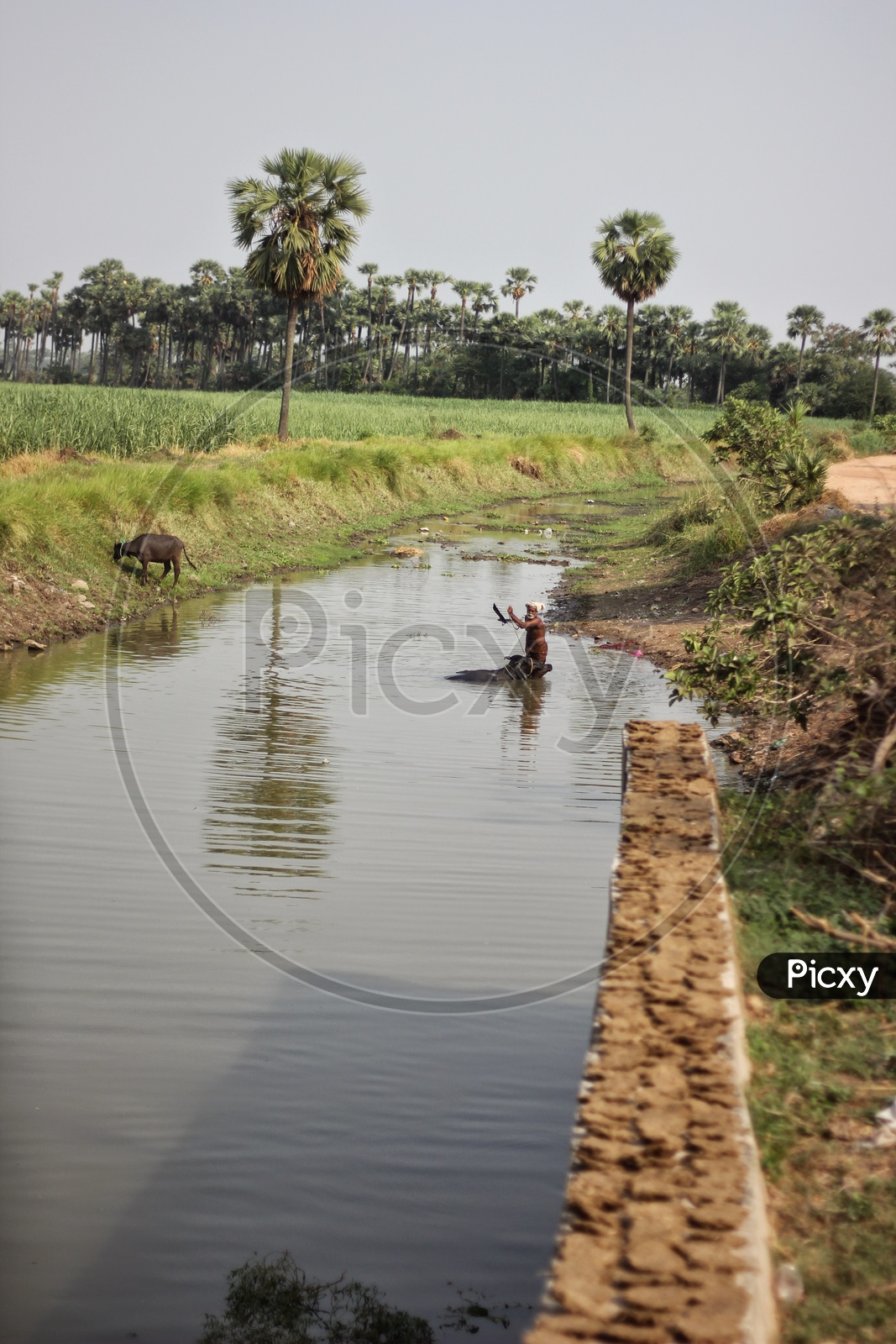 A Small Water Canals in Villages Of Andhra Pradesh