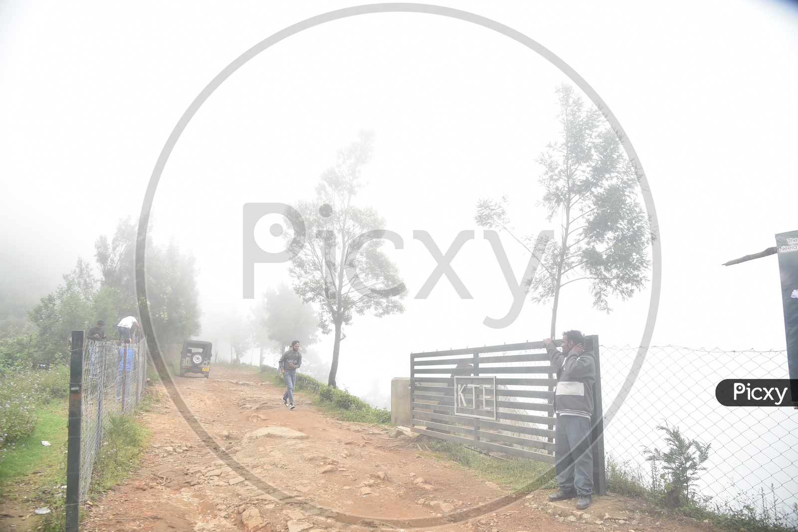 Roads In Plantations Of Munnar With Fog all Around the Tea Plantation