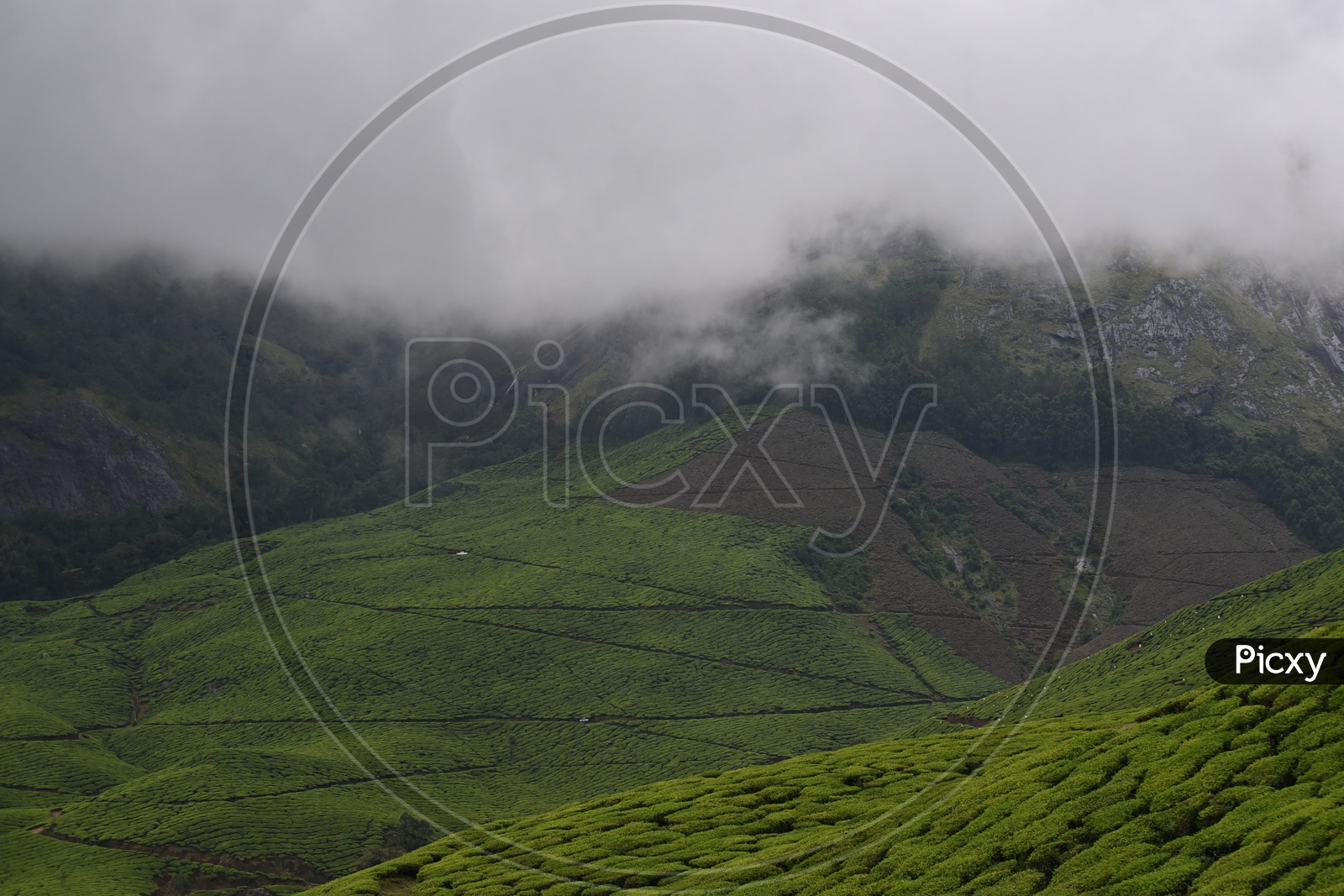 Beautiful Mountains of Munnar with amazing clouds