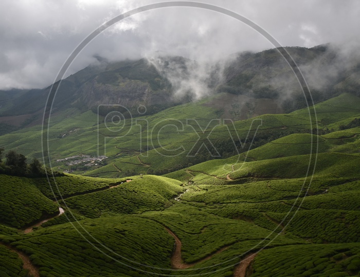 Beautiful Mountains of Munnar covered with tea plants and amazing clouds