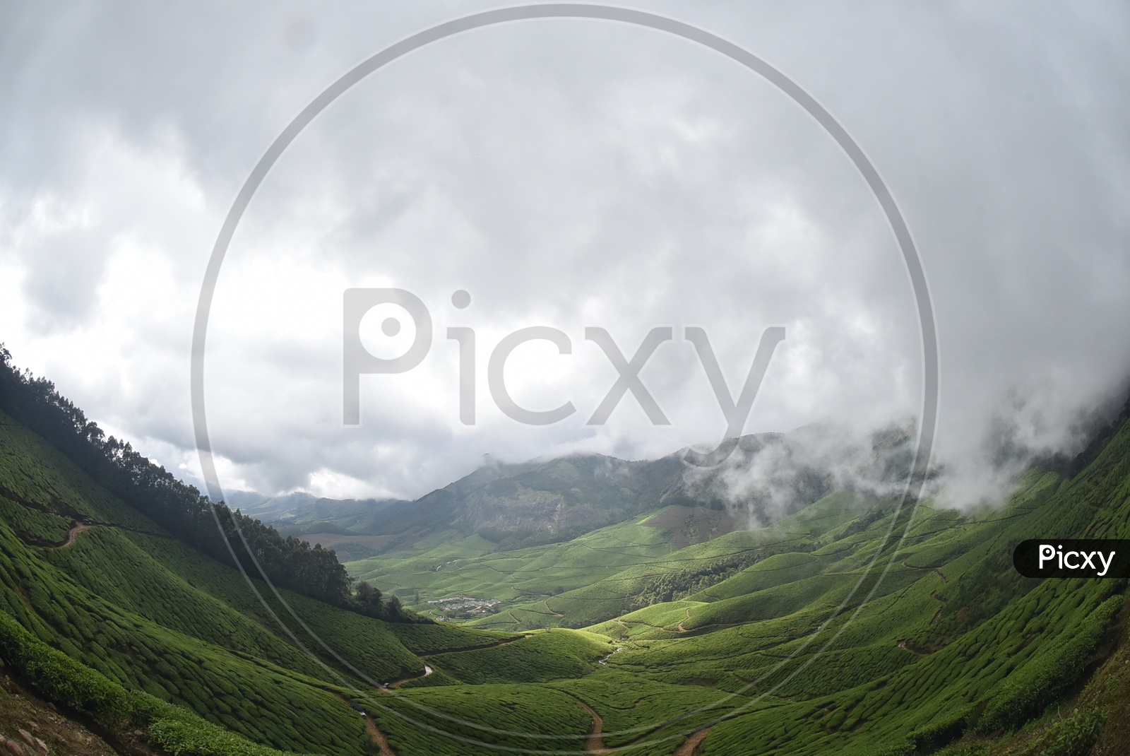 Beautiful Mountains of Munnar with amazing clouds