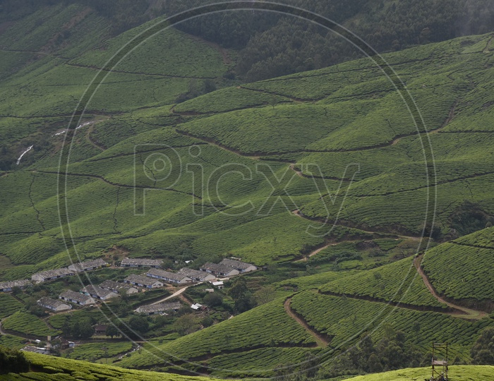 Beautiful Mountains of Munnar covered with tea plants