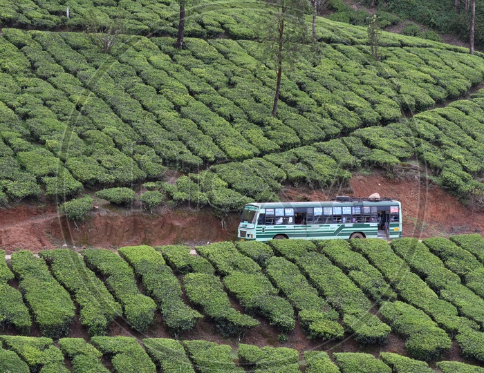 Bus on the way to Munnar