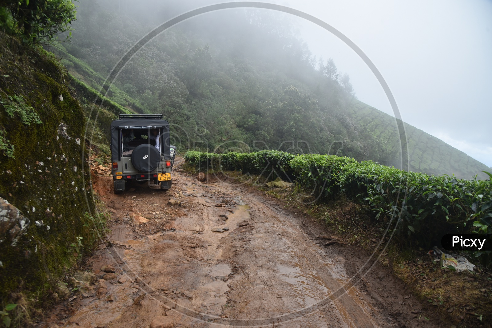Jeep Travel in Munnar
