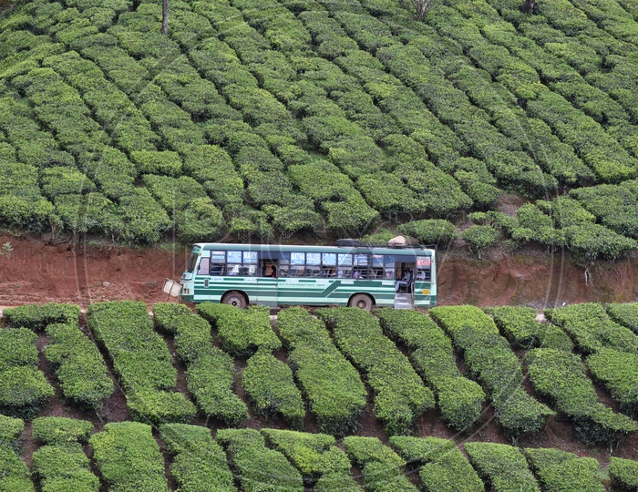 Bus on the way to Munnar
