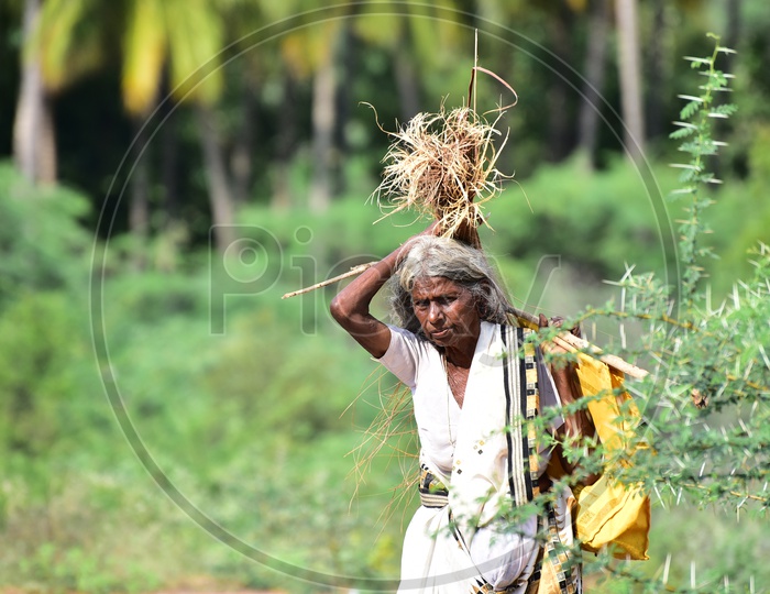 Image Of Old Woman In Rural Village ZB865155 Picxy