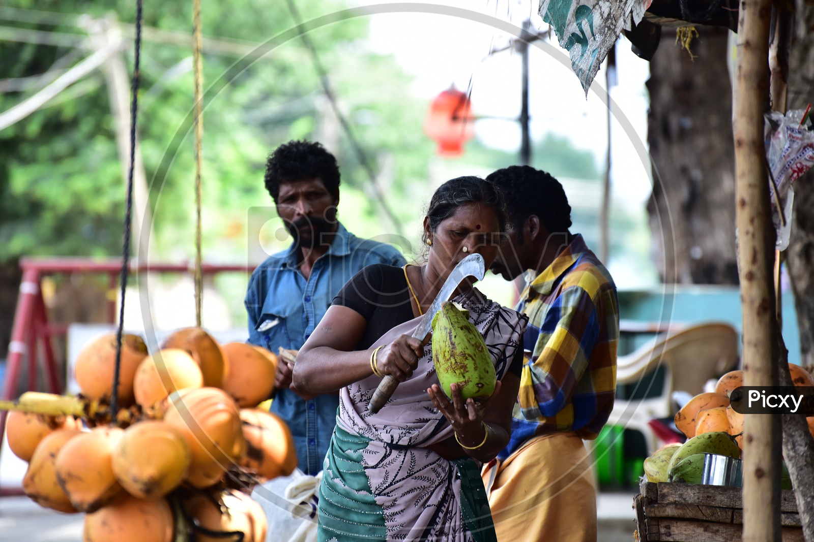 Coconut Seller