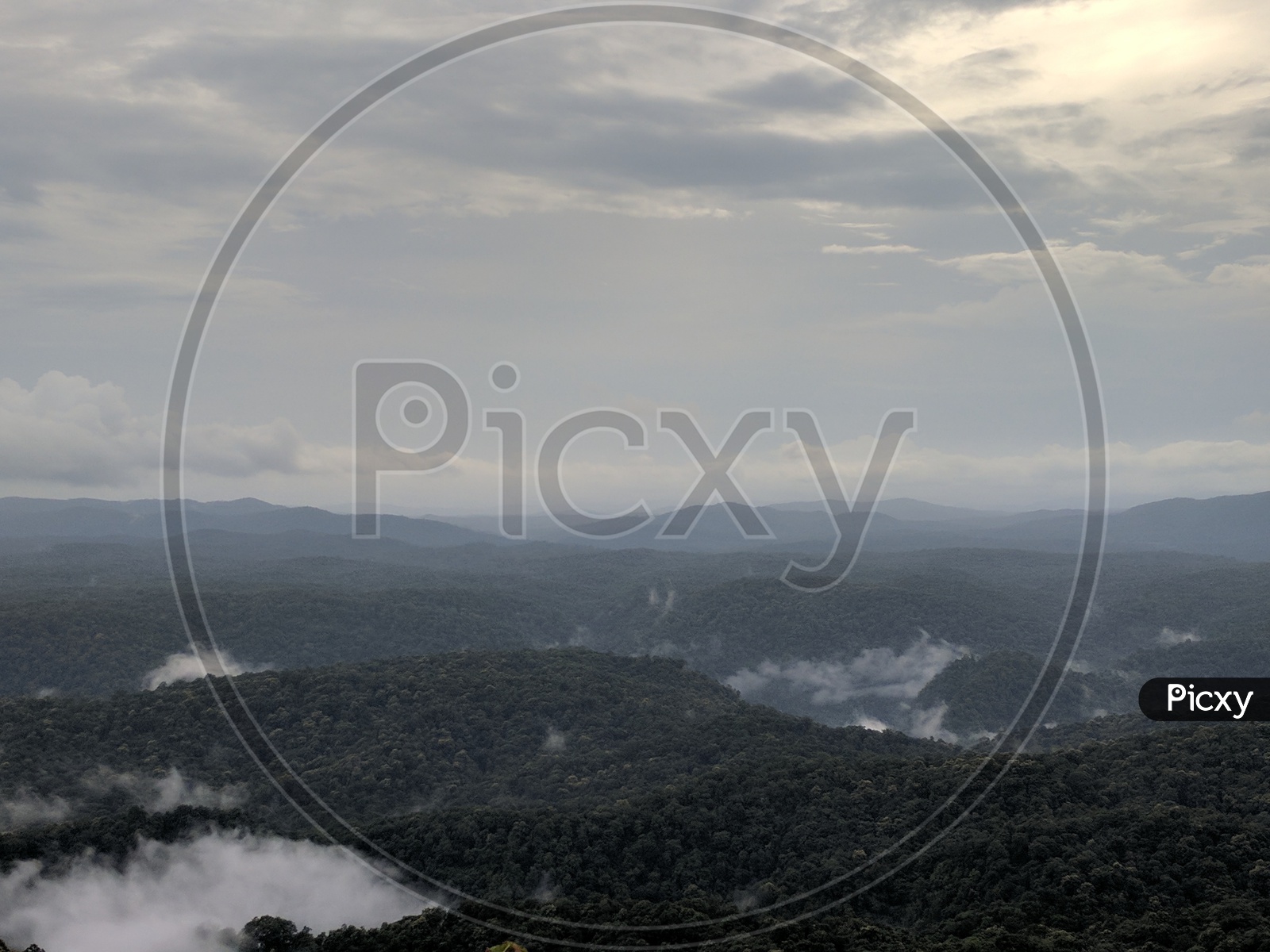 A Beautiful Scape View Of  Forest and Fog Clouds Forming a Background