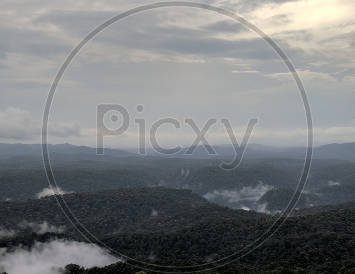 A Beautiful Scape View Of  Forest and Fog Clouds Forming a Background