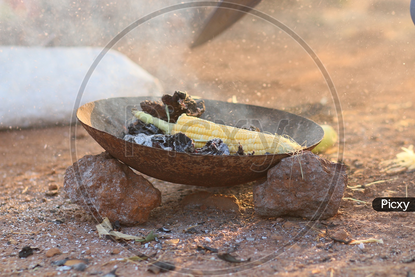 Charcoal Grilling of Corn In India