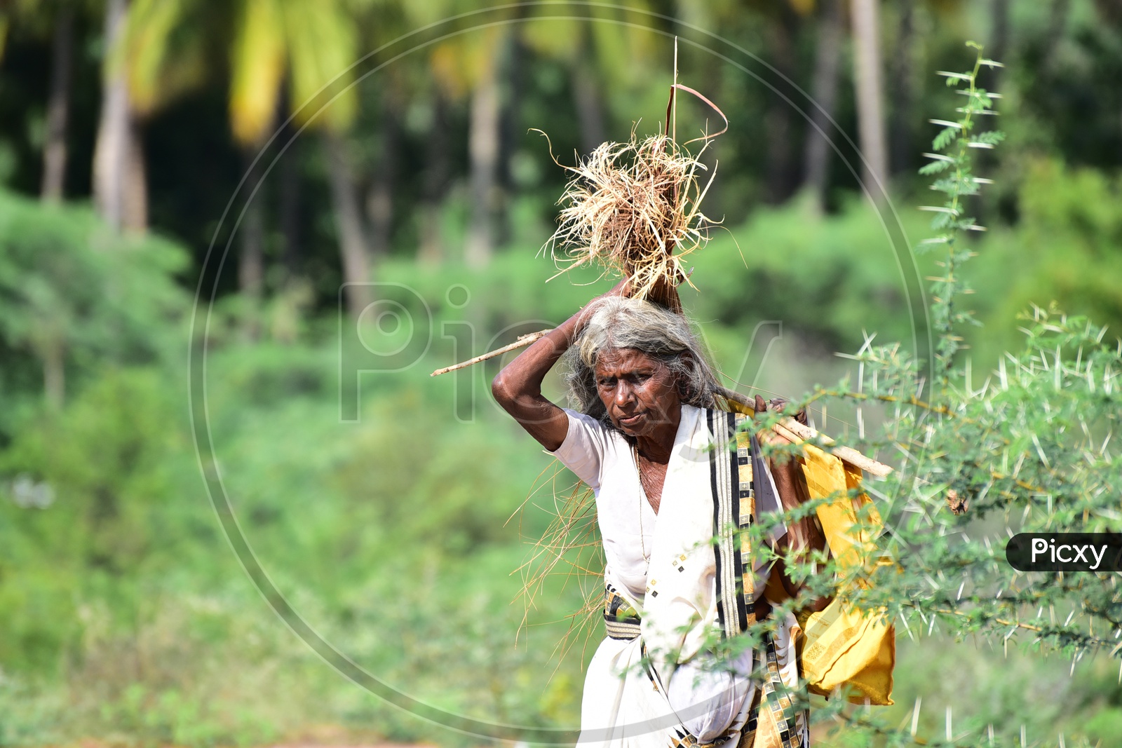 Old woman in Rural Village