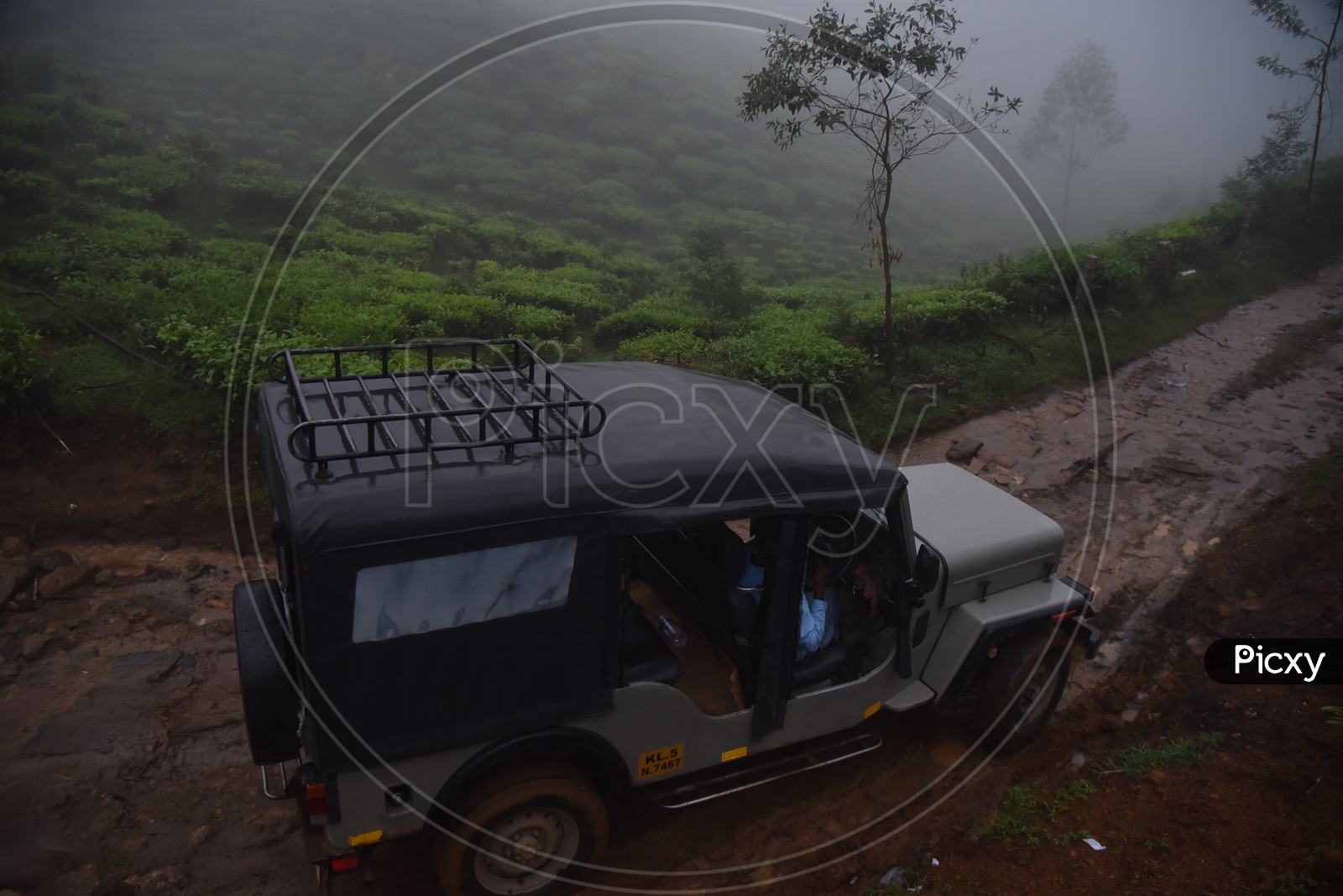 Vehicles Passing on Roads Between tea Plantation in Munnar