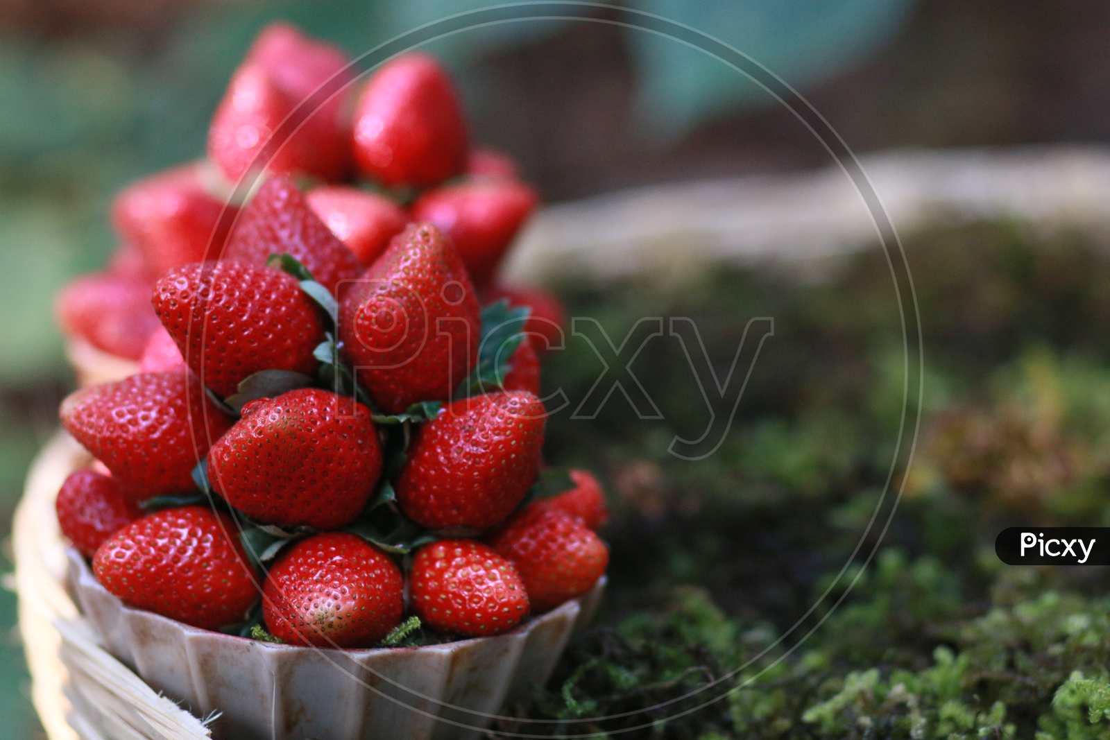 Strawberries Presenting in a Bowl By a Vendor Closeup Shot