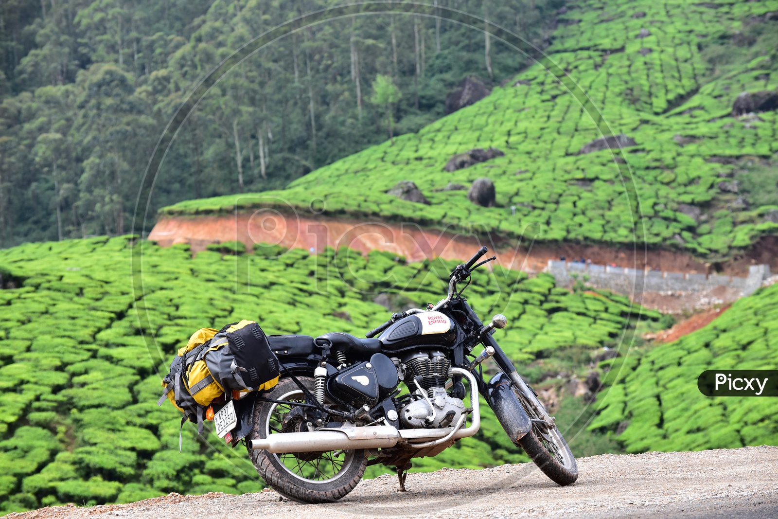 Royal Enfield Classic 350 bike with Munnar mountains in the background