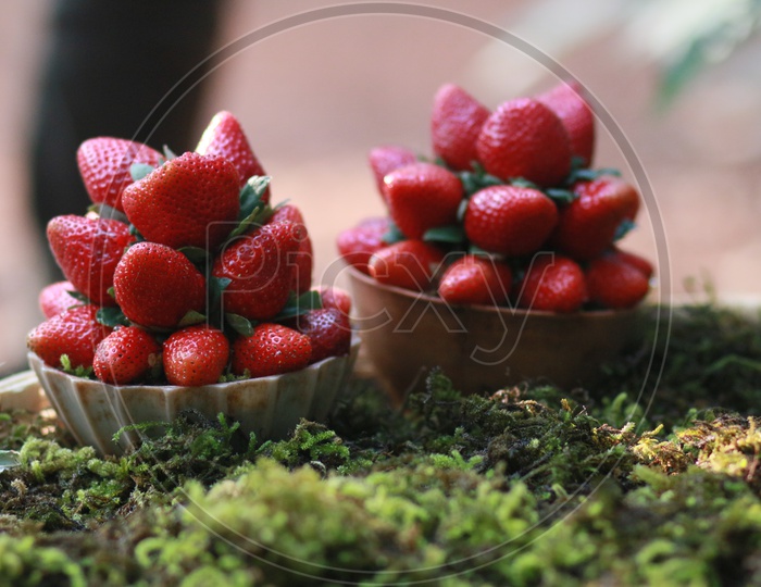 Strawberries Presenting in a Bowl By a Vendor Closeup Shot