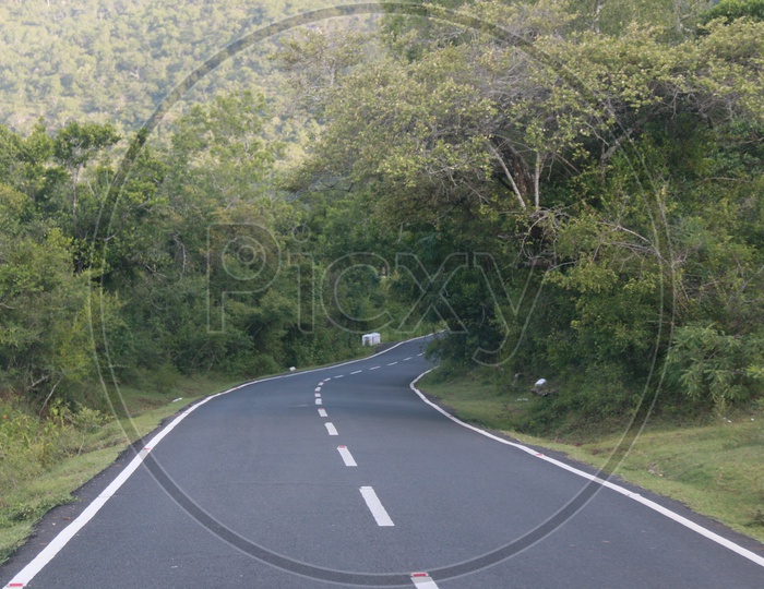 closeup Shot Of a road Leading To Forest In India