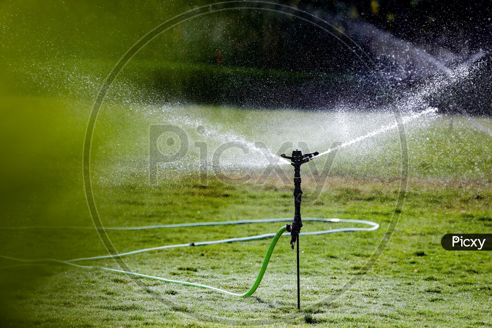 Sprinkler in farm and Garden in Background