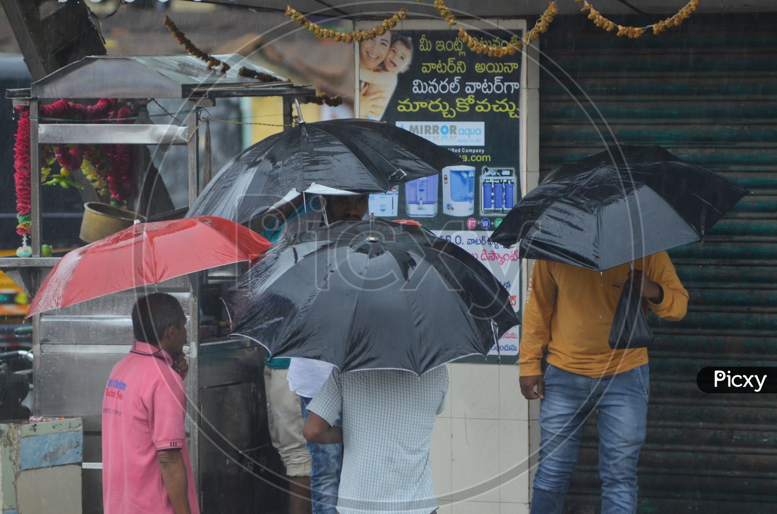 Cyclone Pedhai, Rain