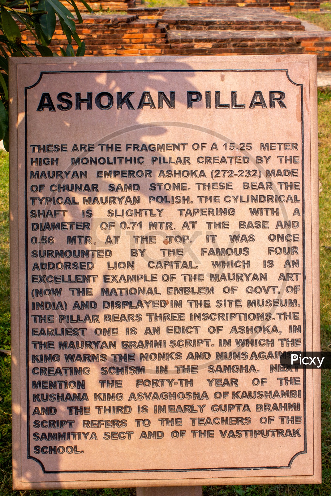 Note about the Ashokan Pillar