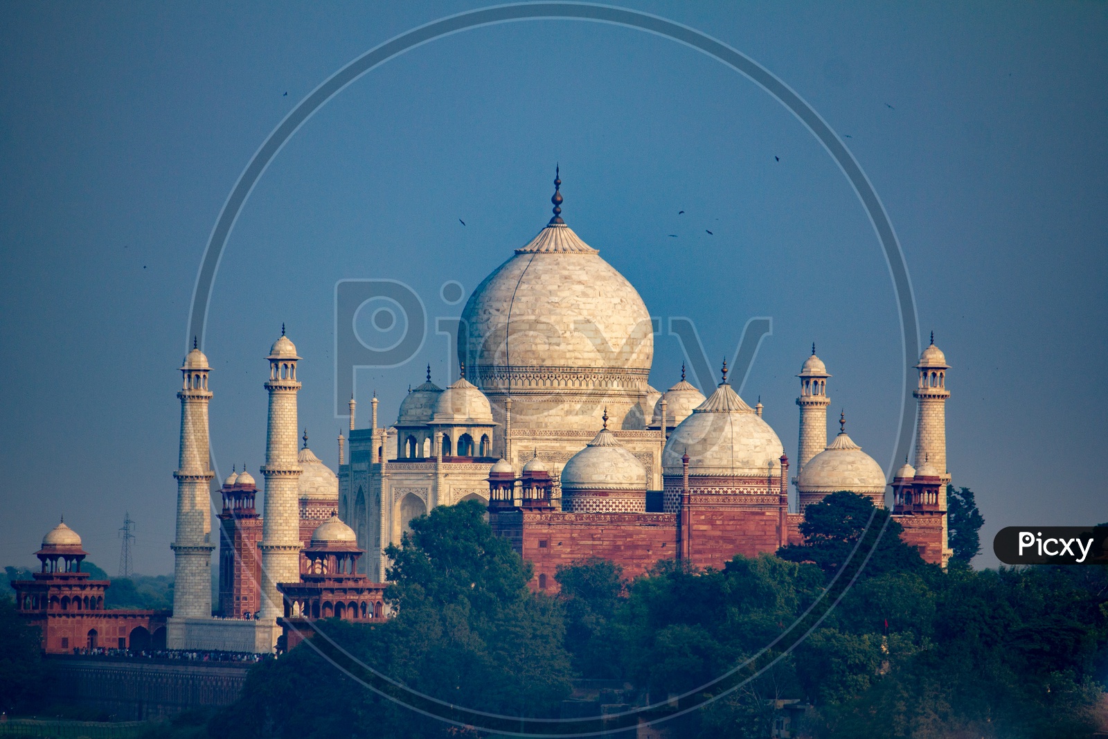 Landscape of Beautiful Taj Mahal