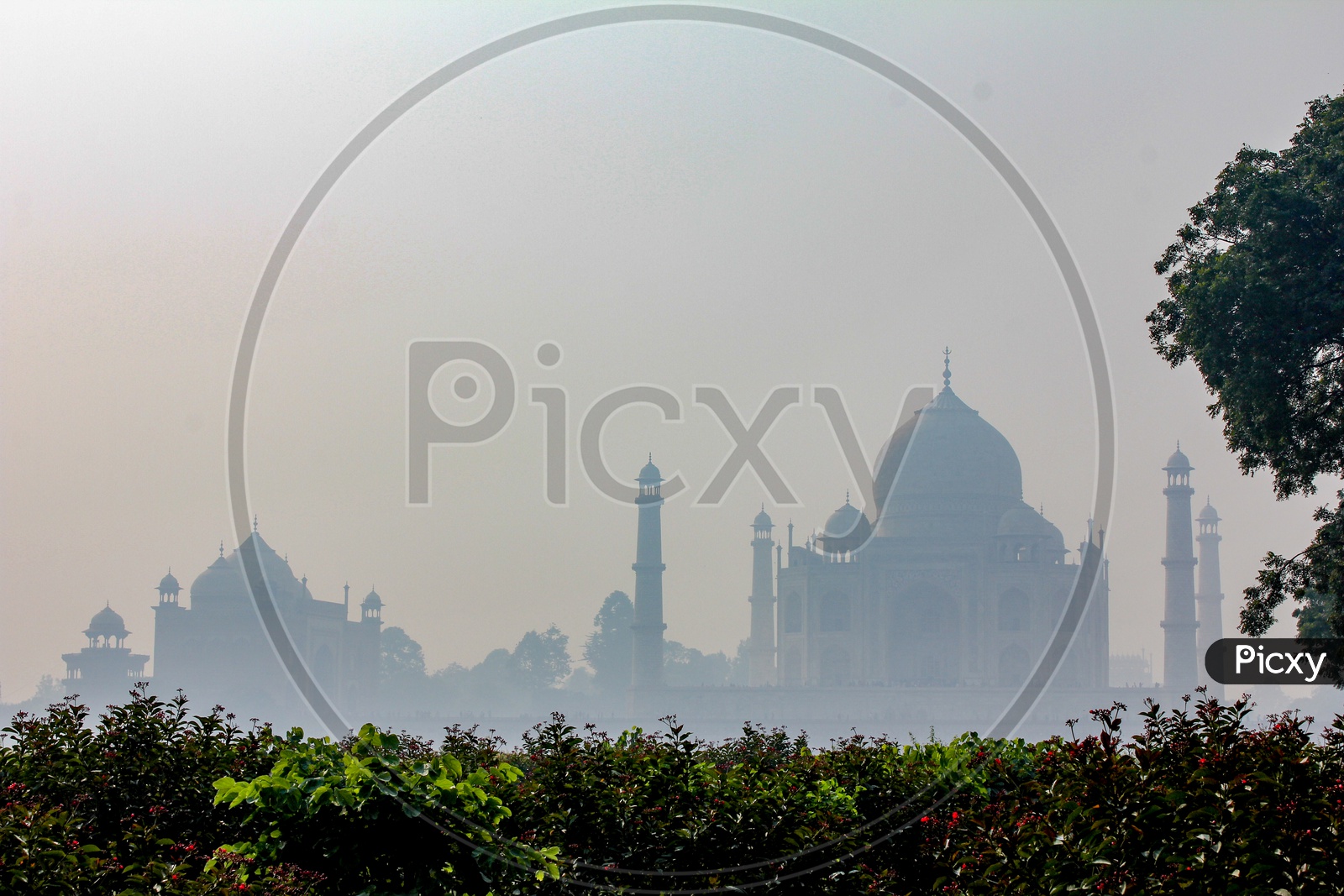 Beautiful Landscape of Taj Mahal