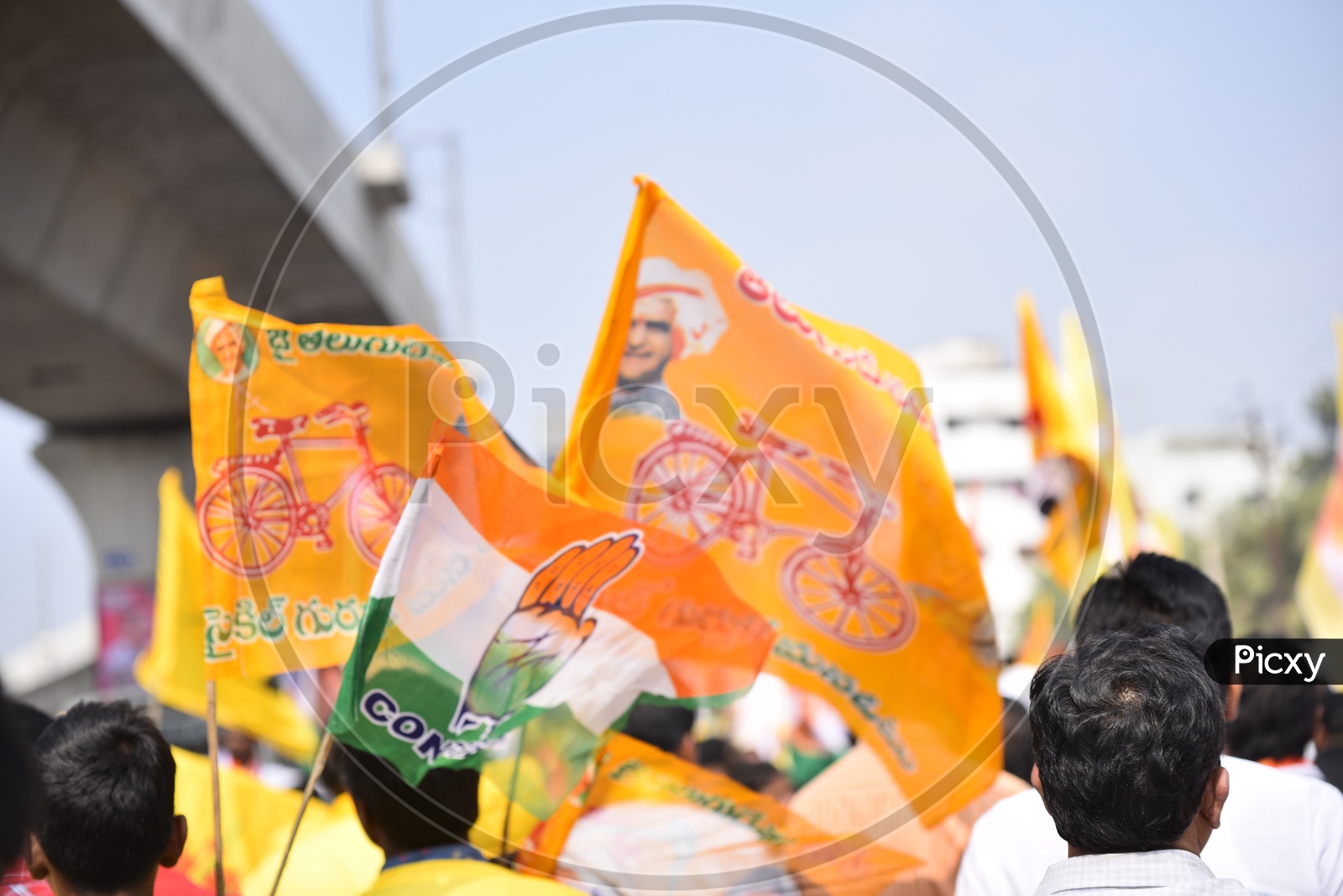 TDP Flags In Election Campaign