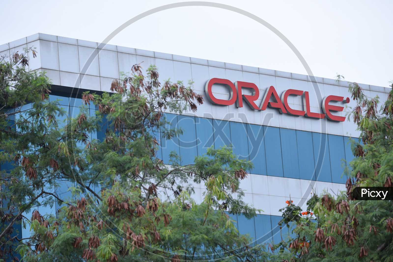 Oracle Sign Board in Hyderabad
