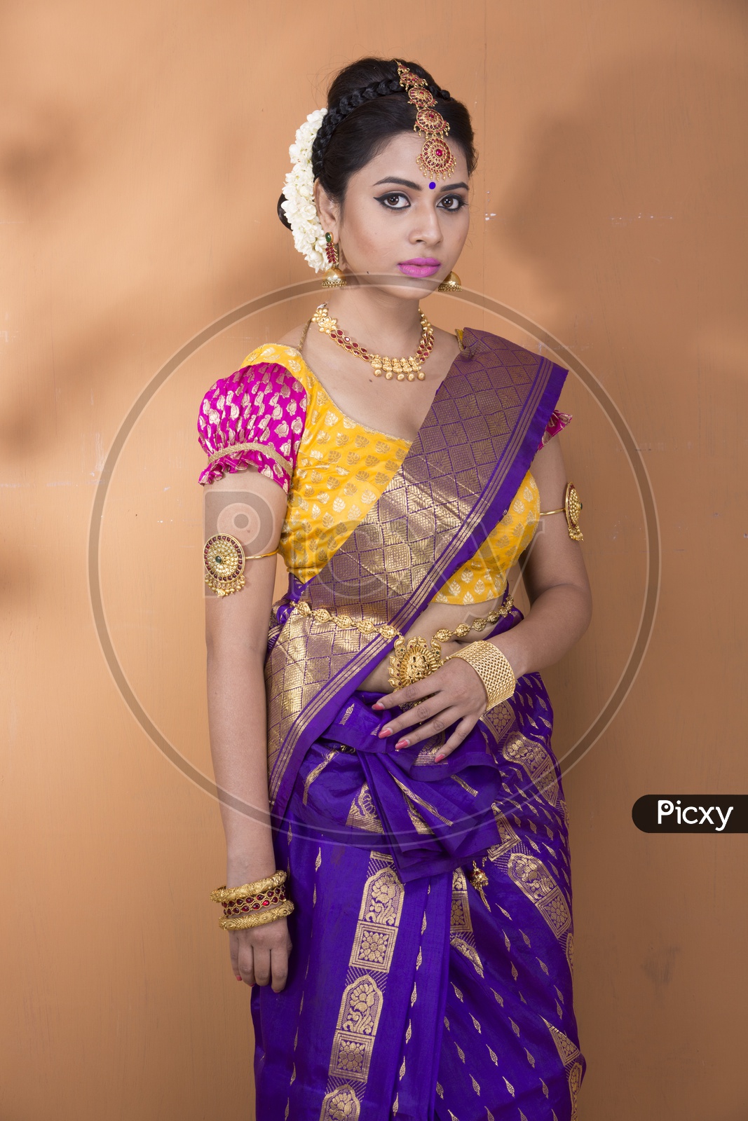 Young Woman in a Saree Standing Outside · Free Stock Photo