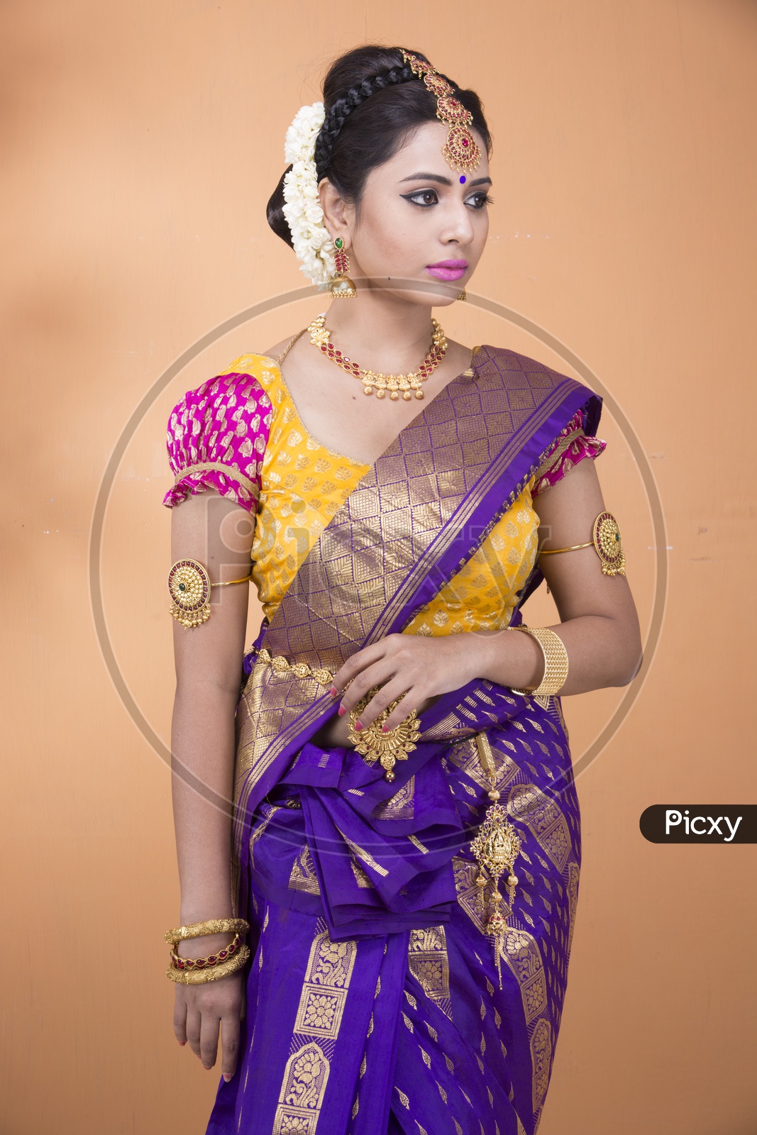 Indian Bride dressed up in purple saree portrait in Studio Lighting / Traditionally dressed up girl