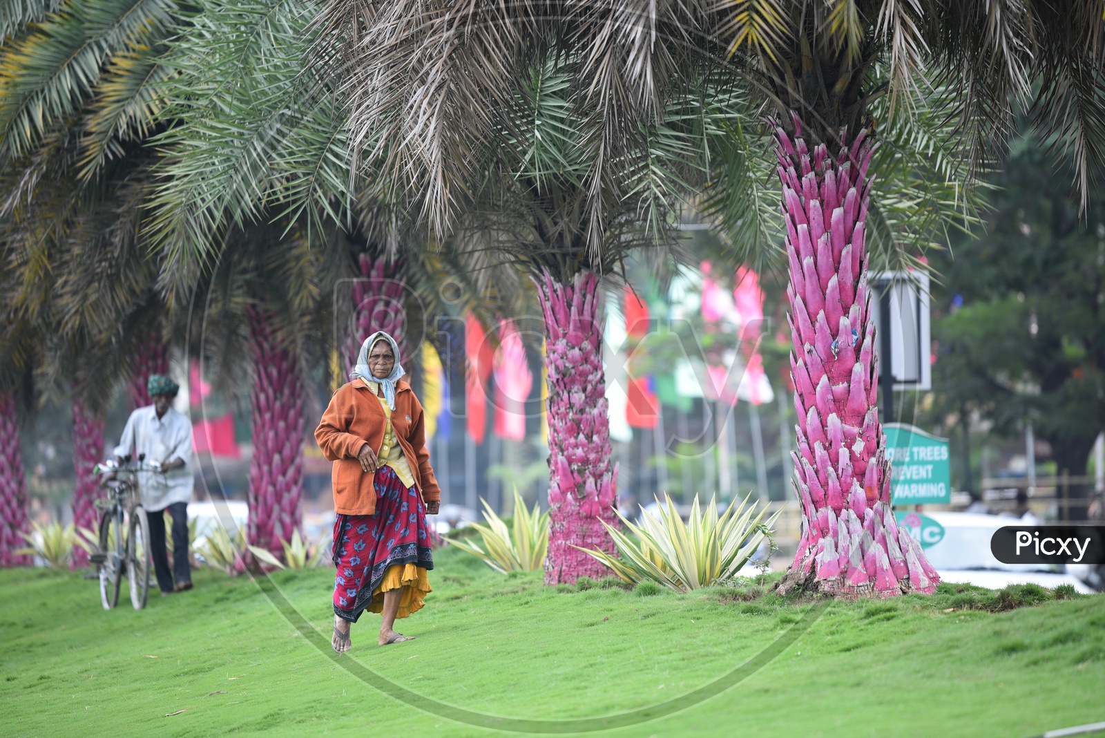 An Old lady Walking In  a  GHMC  Garden in Hyderabad