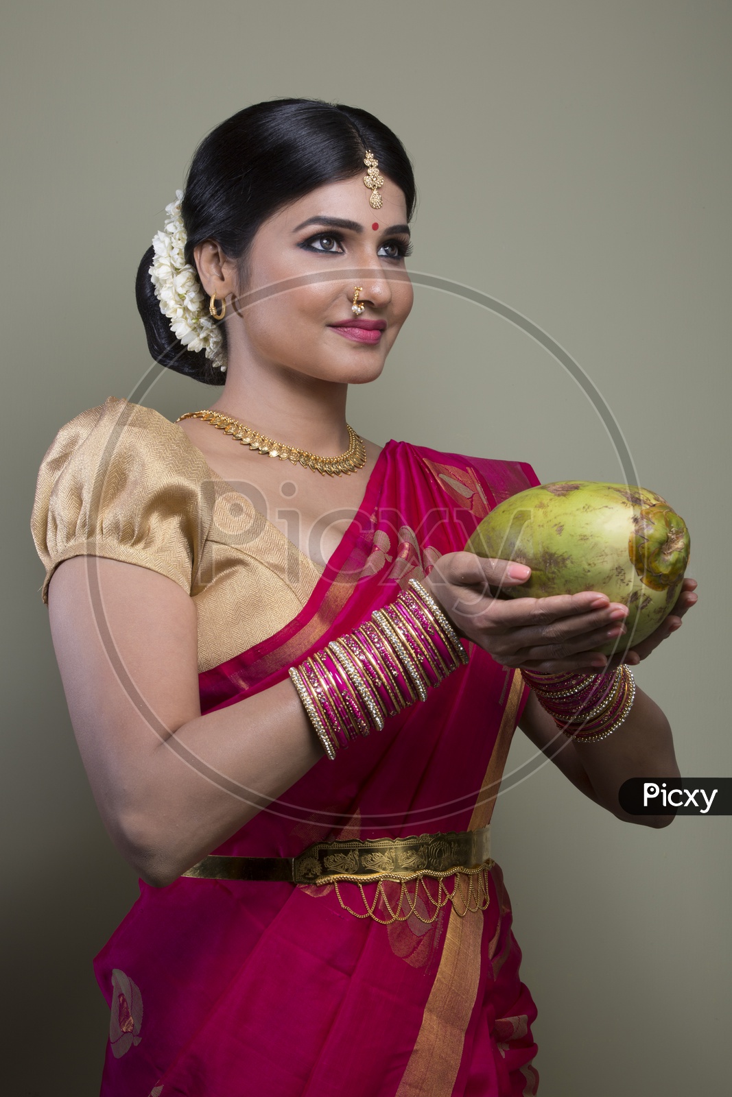 A Beautiful Indian Female Model  in Traditional Attire Wearing a Saree and Jewelry with an Expression and With a Coconut in Hand   on an Studio Closeup shot