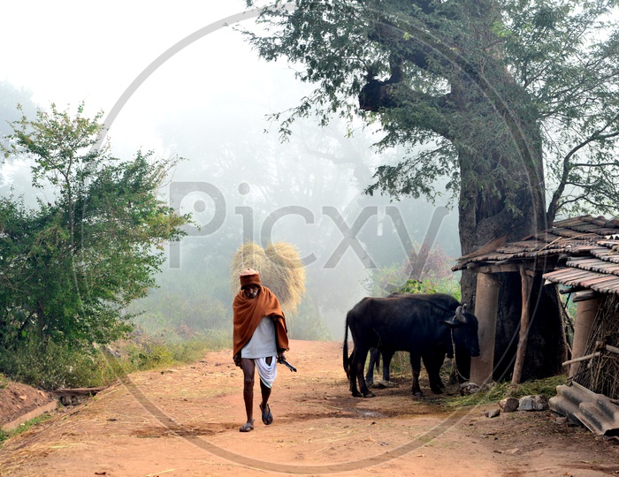 An Old Man Walking alone on a Streets Of a Village