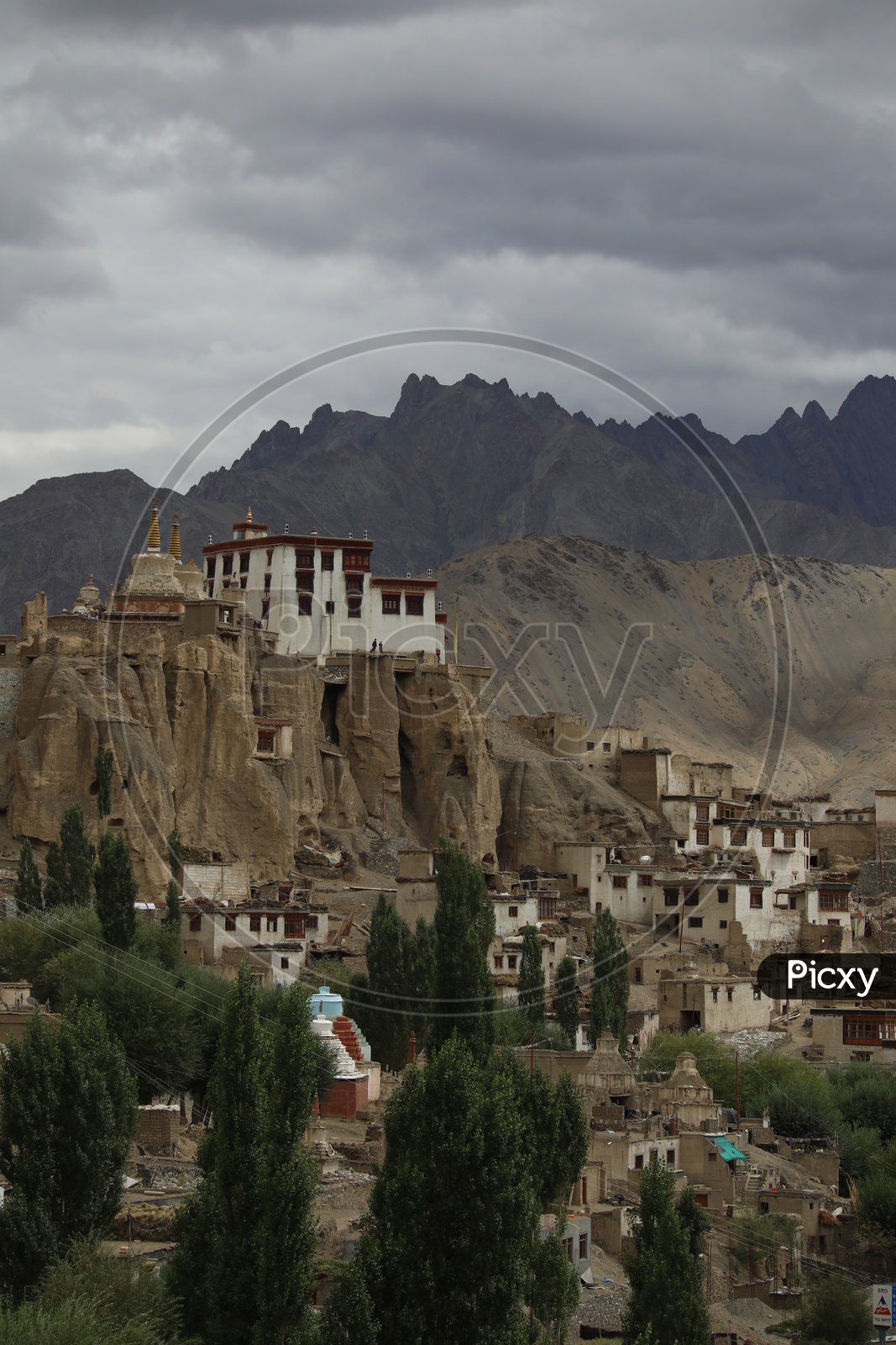 Diskit Buddhist Monastery in Leh