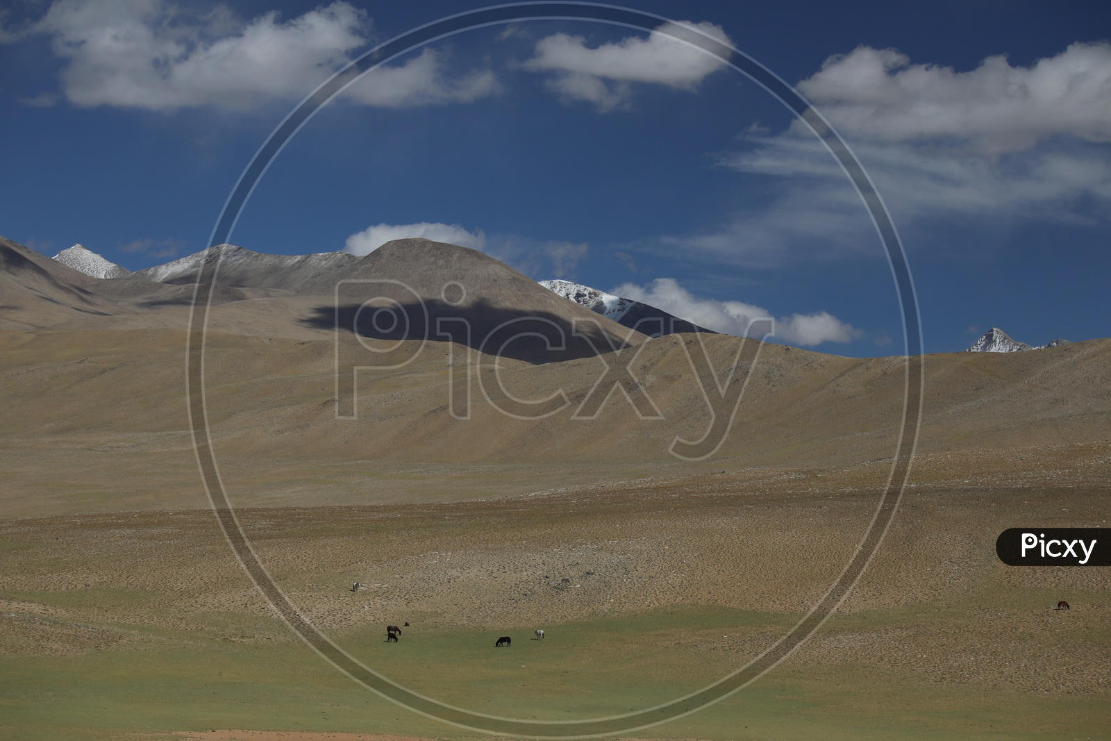 A Beautiful View Of Leh With Sand Dunes , River Valley and Blue Sky  With Clouds