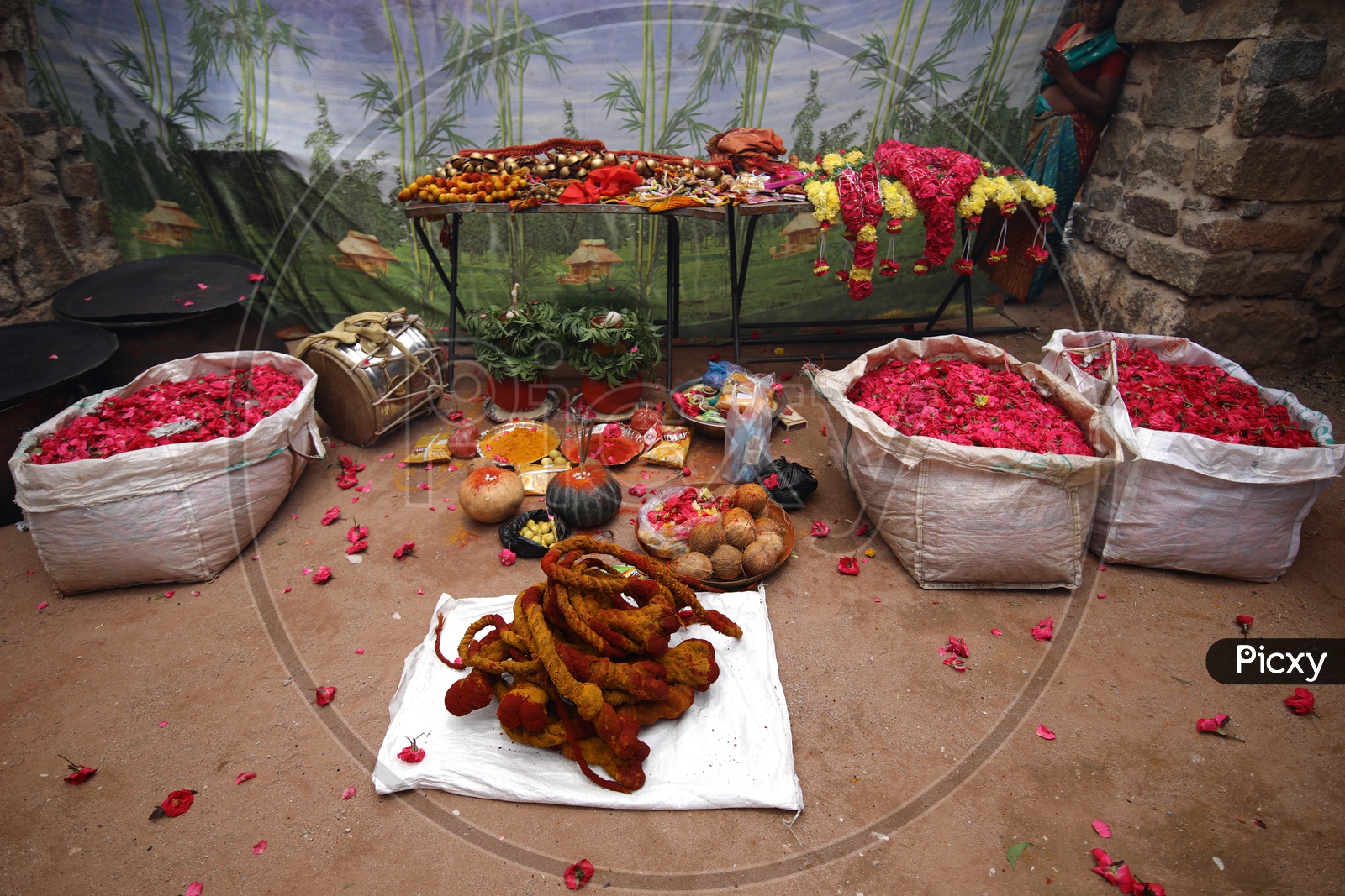 A Regional Hindu Festival Bonalu Scenes In Hyderabad