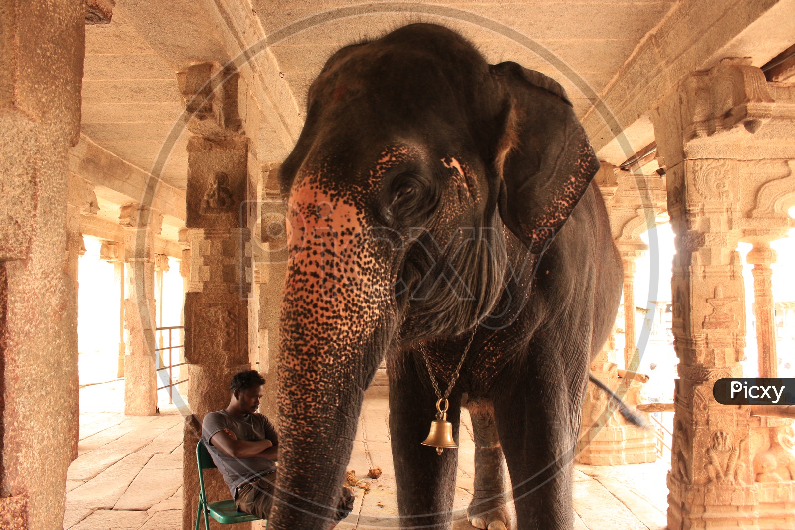 Indian Temple elephant In a Temple in Hampi