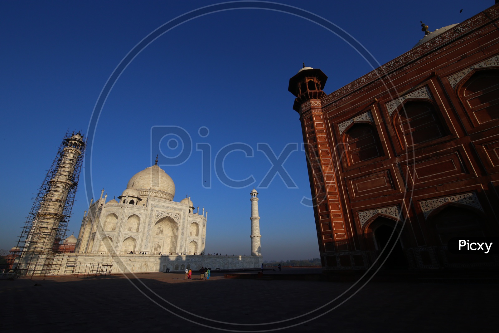 Beautiful Taj Mahal Views