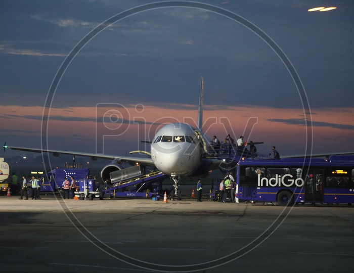 Indigo Flight with Beautiful sunset in the background