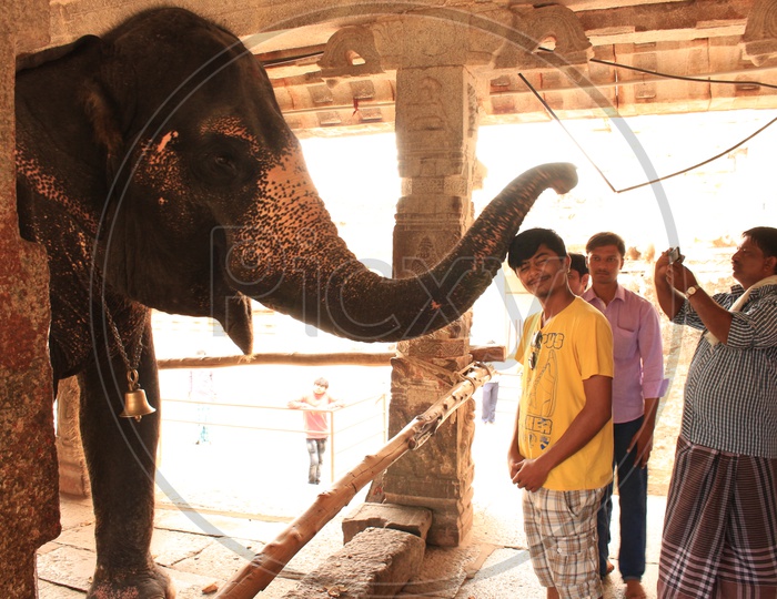 Indian Temple Elephant Blessing The Devotees in Hampi temple