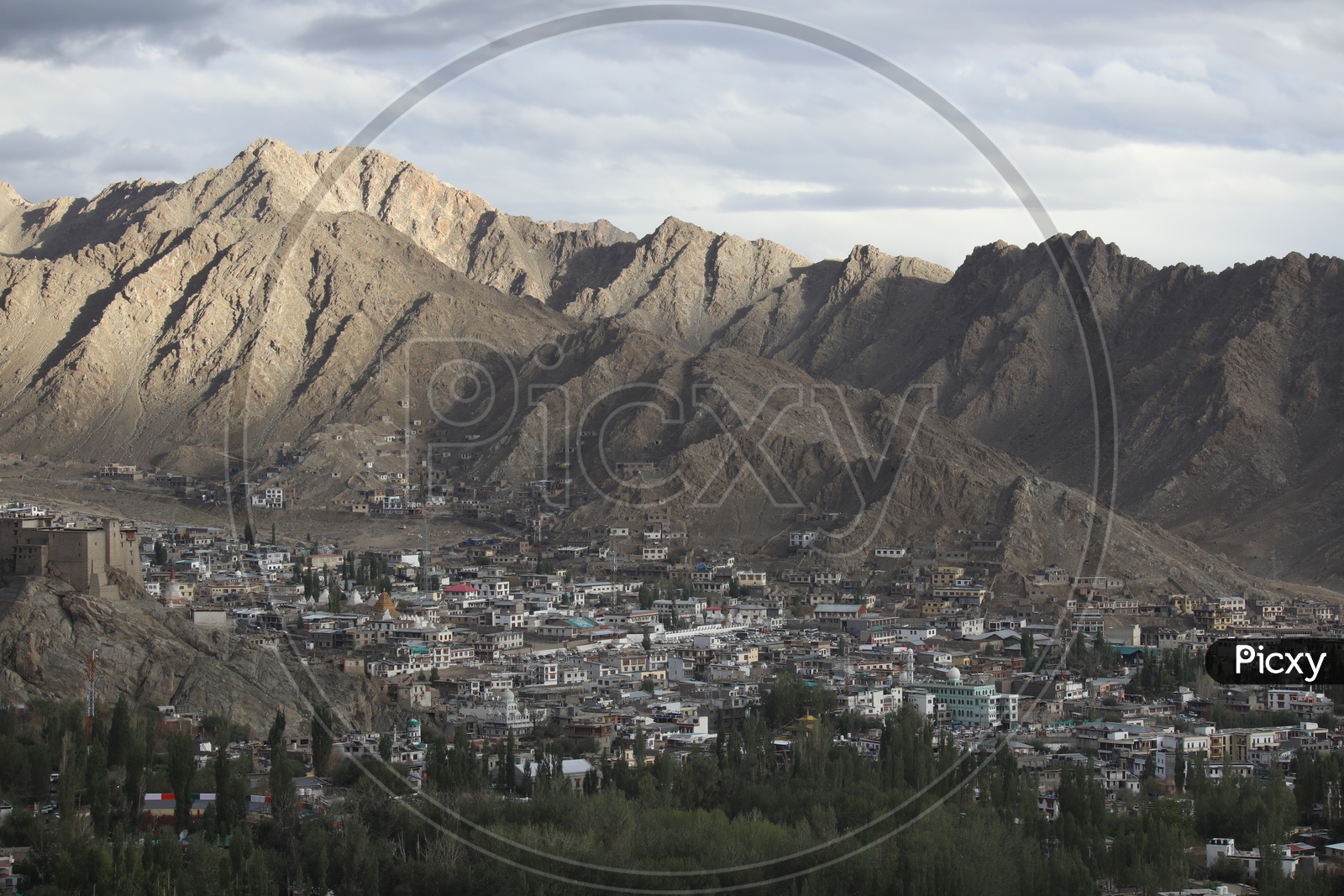 Snow Capped mountains of Leh with village in the foreground