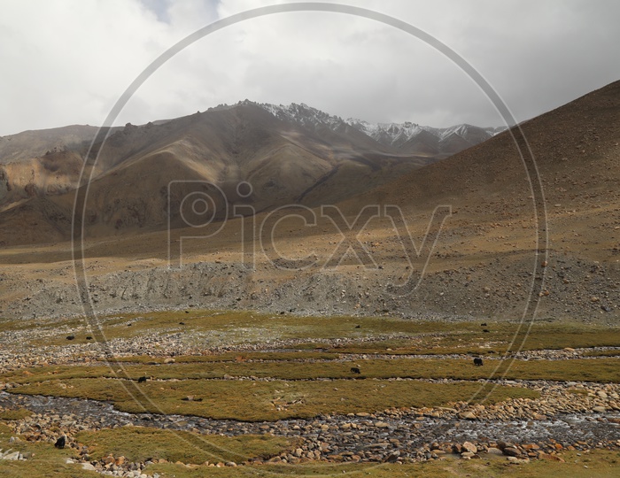 A River Valley with river Flowing in Leh / Ladakh