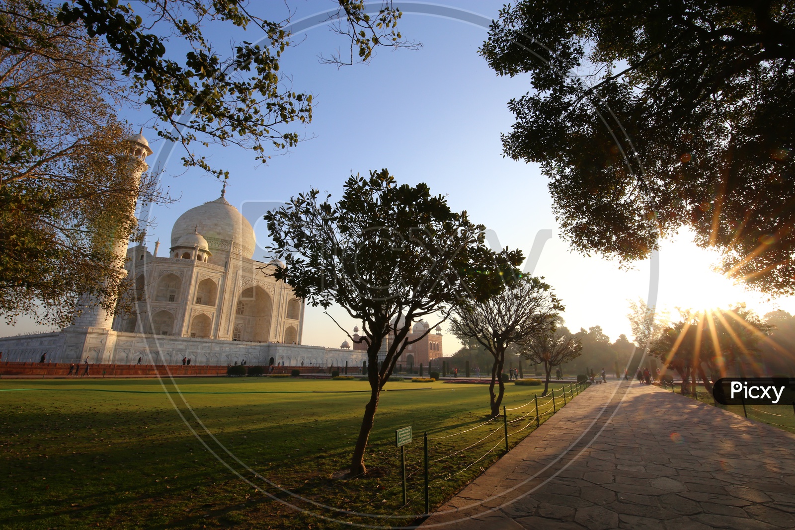 Landscape of Taj Mahal with tree in the foreground