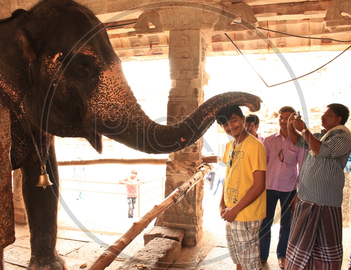 Indian Temple Elephant Blessing The Devotees in Hampi temple