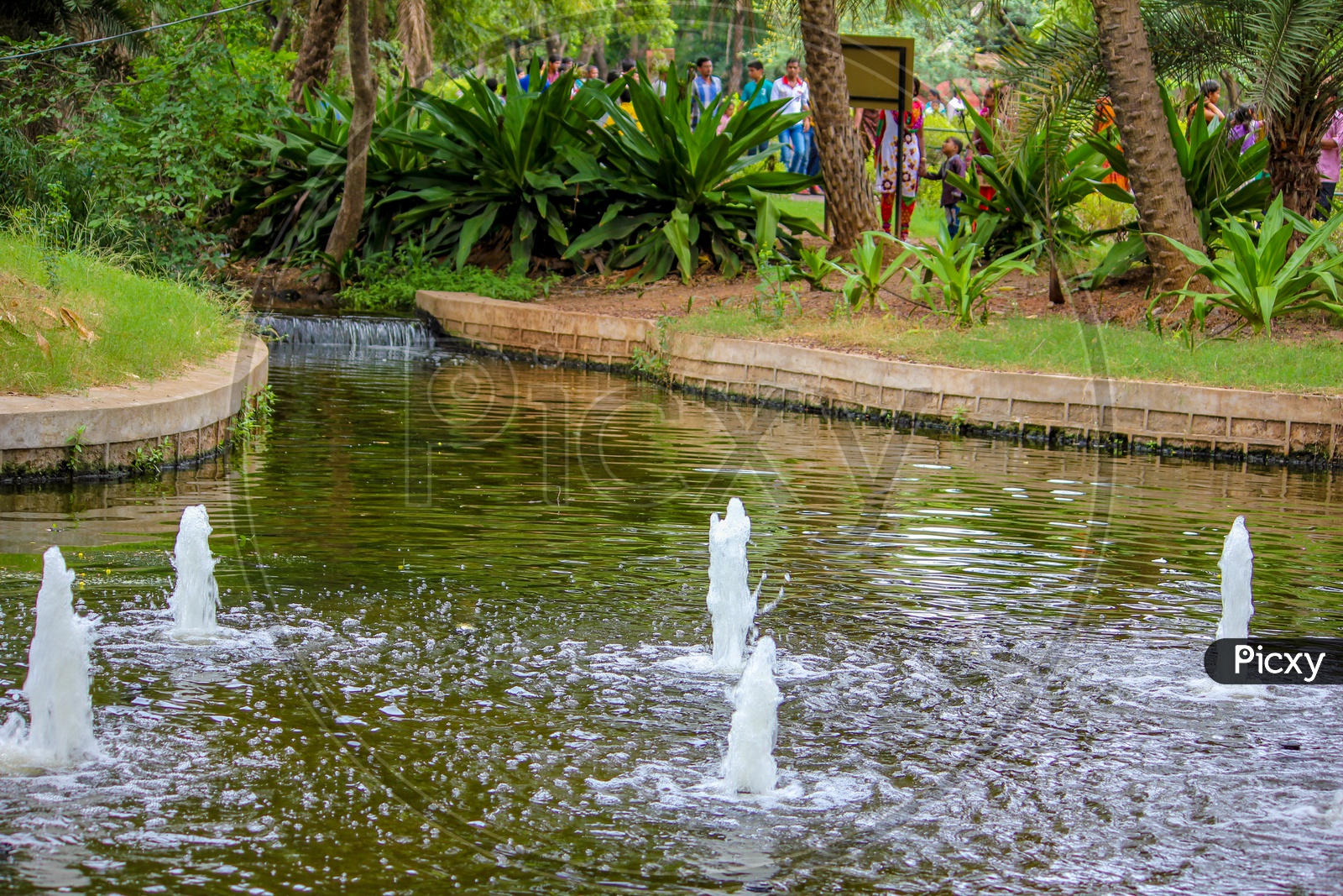 A Small Pond In Hyderabad Zoo