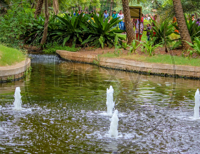 A Small Pond In Hyderabad Zoo