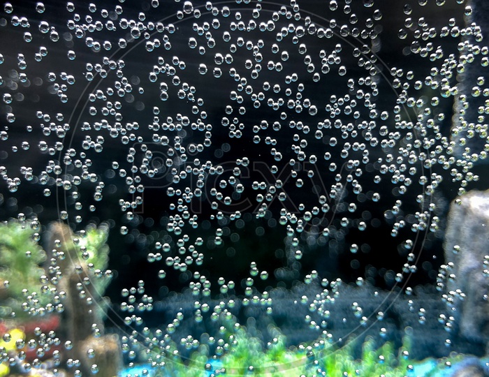 Bubbles formed on the walls of aquarium