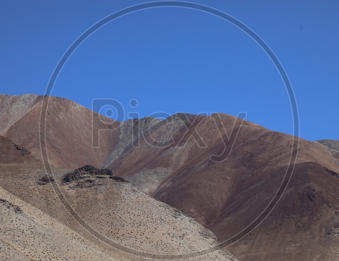A Beautiful Composition Shot Of Sand Dunes in Leh